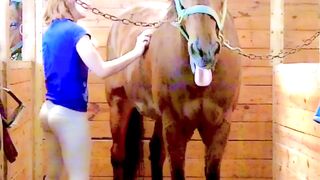 My Gorgeous Wife's Dirty work in the Stable - A Sweaty and Sexy Show