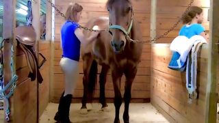 My Gorgeous Wife's Dirty work in the Stable - A Sweaty and Sexy Show