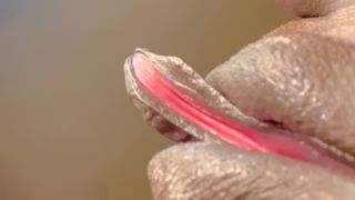 Big Ass MILF Rubs Her Huge Clit and Wet Pussy in Hot Video Big Ass MILF Rubs Her Huge Clit and Wet Pussy in Hot Video
